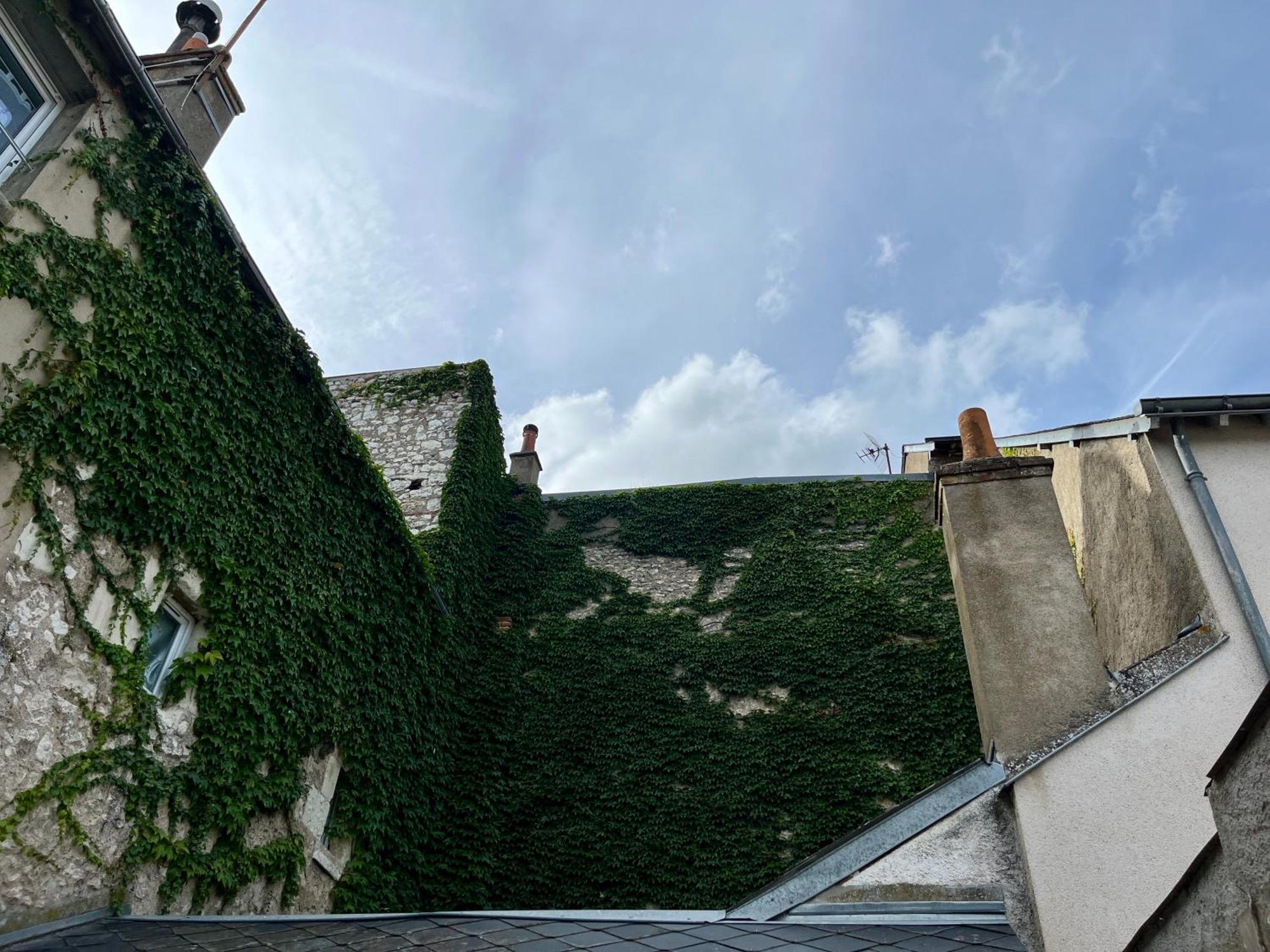 2 Suites, Cour Privee, Climatisation, Le Nid De Blois Vienne Exterior photo