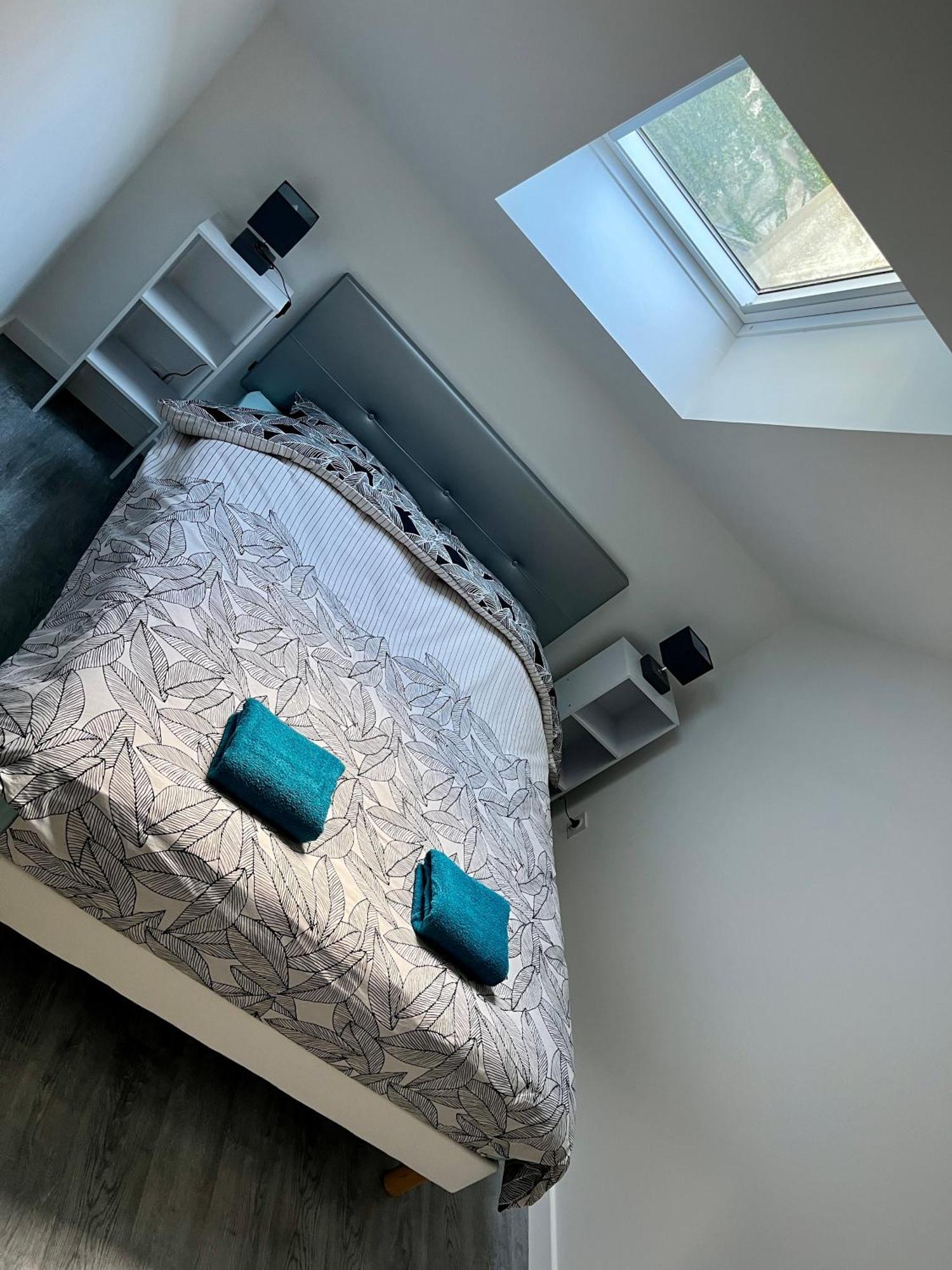2 Suites, Cour Privee, Climatisation, Le Nid De Blois Vienne Exterior photo